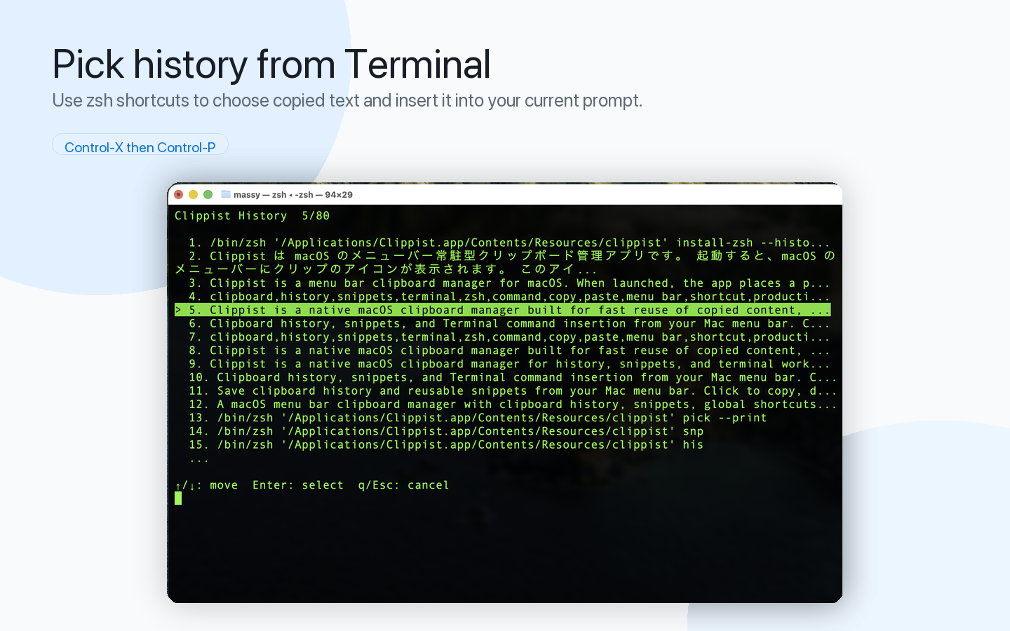 Clippist zsh integration. Pick clipboard history from Terminal.